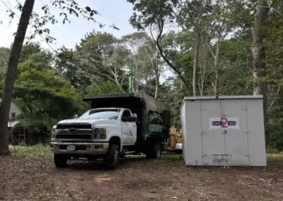 Affordable Tree Expert