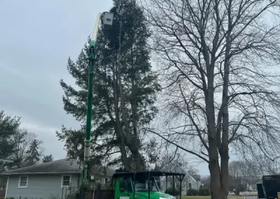 Dependable Tree Service