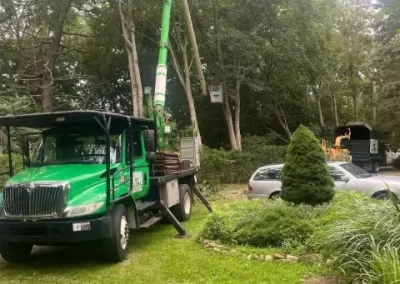 Preferred Tree Service