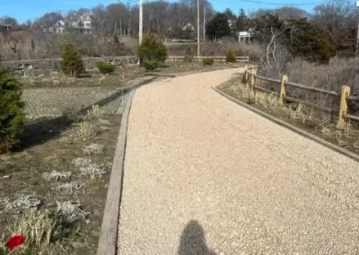 Professional Tree Company