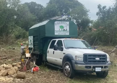 Professional Tree Expert