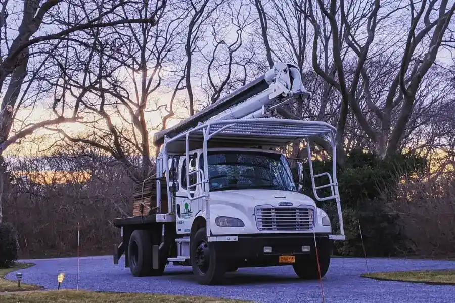 Professional Tree Service