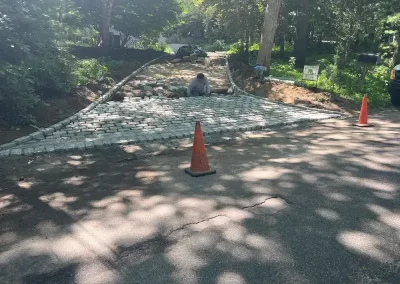 Quality Tree Maintenance