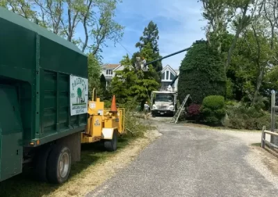 Reliable Tree Company