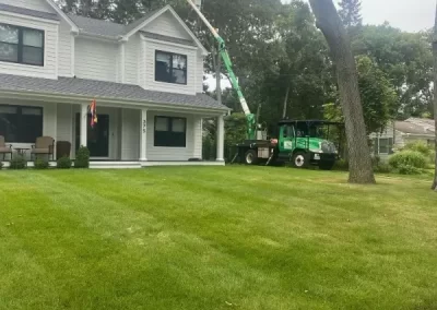 Reliable Tree Expert