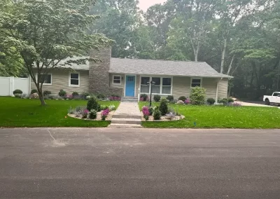 Reliable Tree Service