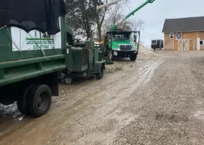 Tree Care