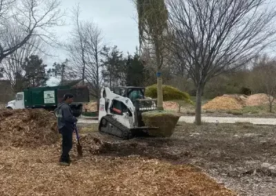 Tree Company