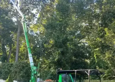 Tree Expert