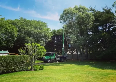 Tree Service