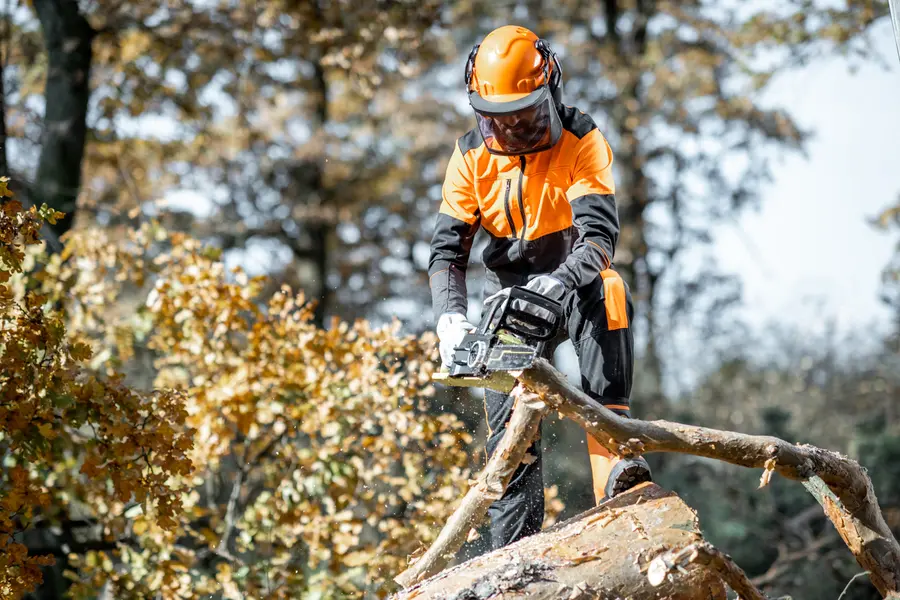 How To Safely Prepare For A Tree Cutting Service At Home Greenport, NY How To Safely Prepare For A Tree Cutting Service At Home Greenport, NY